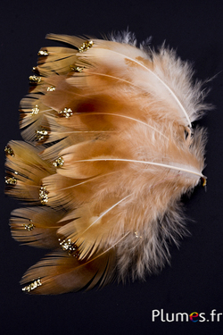 Faisan de Colchide paillettes dorées - 5-7 cm - crème